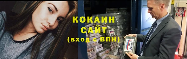 ПСИЛОЦИБИНОВЫЕ ГРИБЫ Осташков