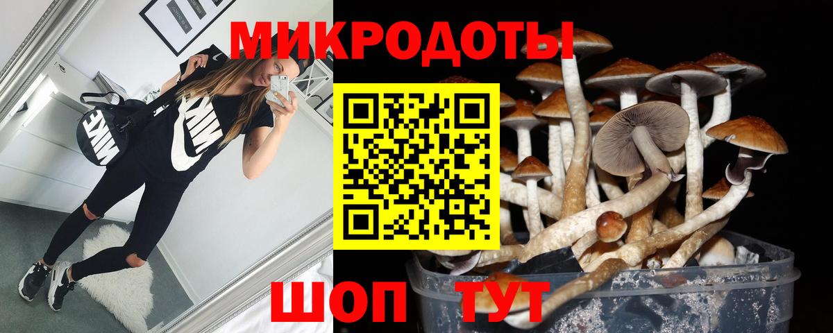 Галлюциногенные грибы прущие грибы  Вход с VPN  Чебоксары 