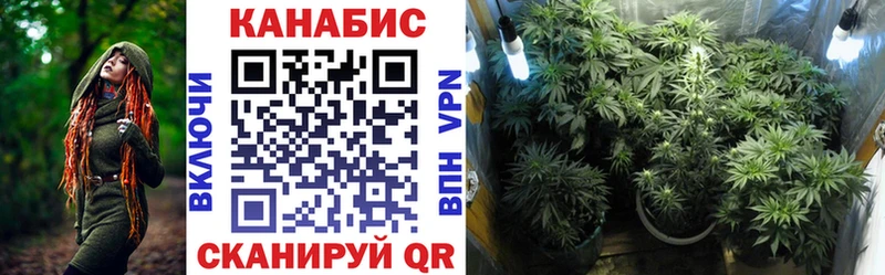 площадка официальный сайт  купить  сайты  Чебоксары  Каннабис планчик 